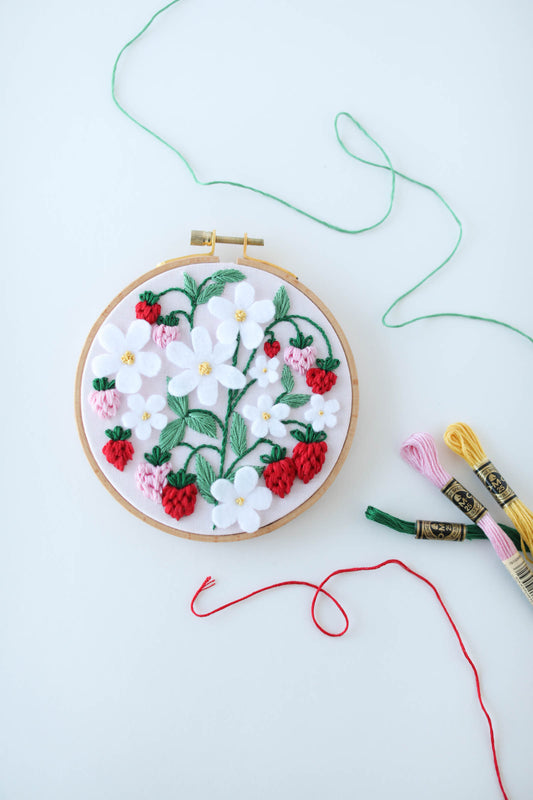 PDF DUO Strawberry Patch and Beginner Daisy Pattern
