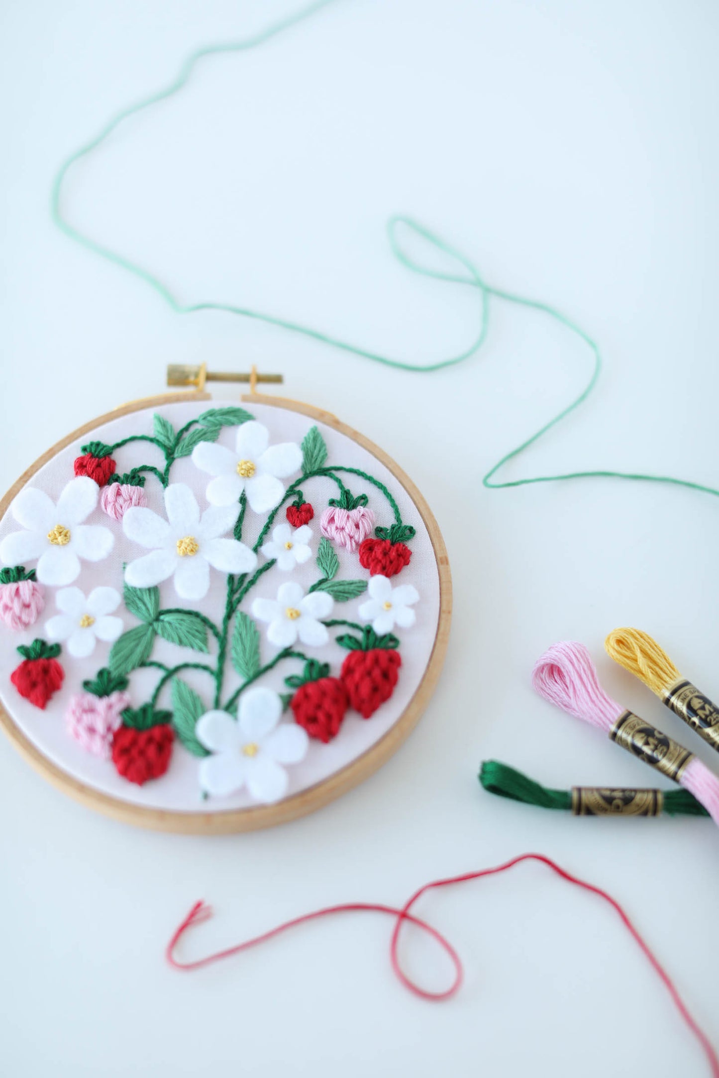 5" Strawberry Patch Embroidery Kit - Intermediate