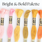 DMC Embroidery Floss Bundle - Bright and Bold - 10 Skeins